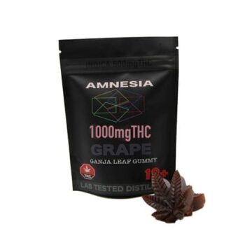 amnesia grape
