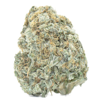 love potion 1