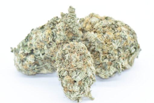 love potion #1