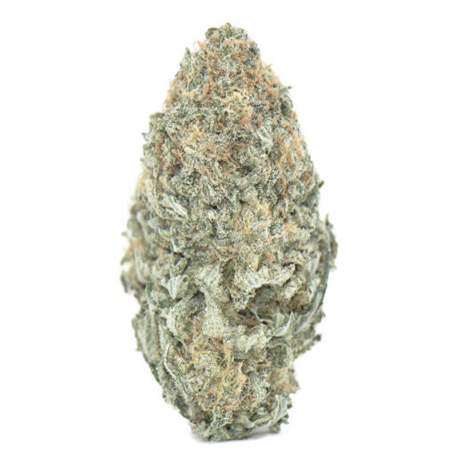 laughing buddha bud