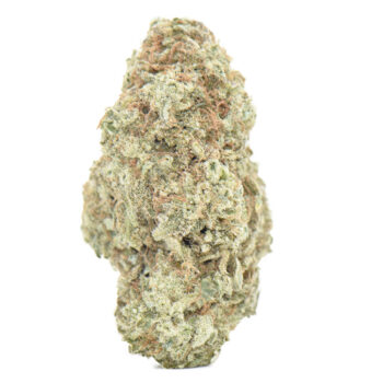 hash plant